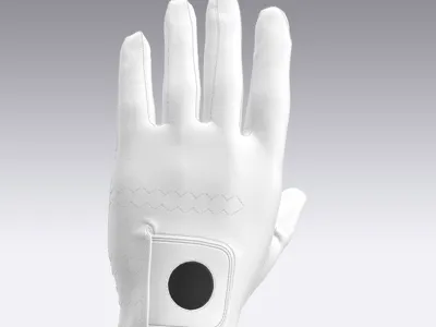 Golf Glove