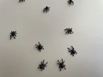 Letrero o emblema decorativo: Mini Spider — vista de referencia 3