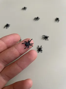 Letrero o emblema decorativo: Mini Spider — vista de referencia 4