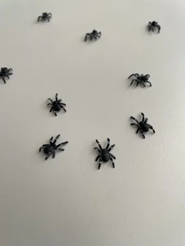 Letrero o emblema decorativo: Mini Spider — vista de referencia 5