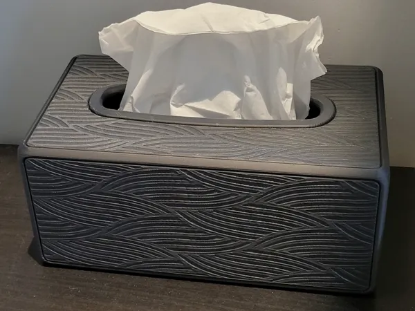https://makerworld.bblmw.com/makerworld/model/US56737d21355819/design/2024-09-20_579cb860c6b06.jpg