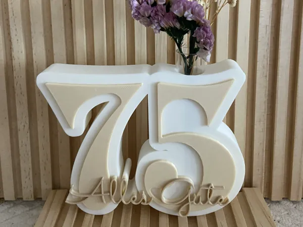 https://makerworld.bblmw.com/makerworld/model/US567aca39522fc3/design/1921fe2efeaf49a9.jpeg