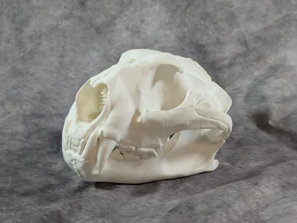 https://makerworld.bblmw.com/makerworld/model/US567d84c8d653b0/design/2025-08-30_12aa708984686.jpg