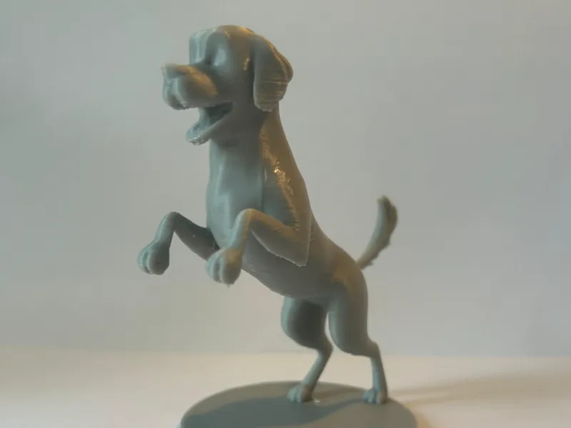 jumping dog