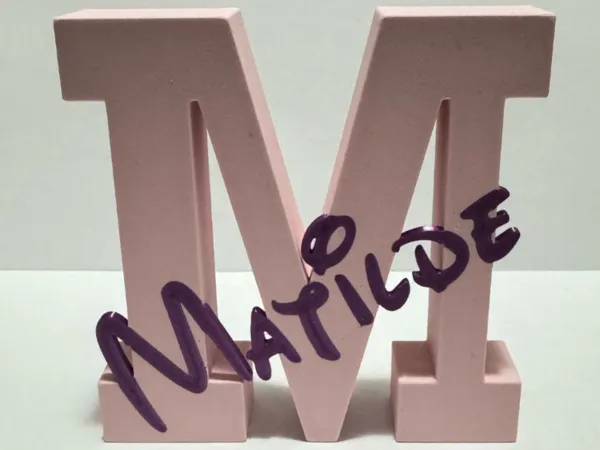 https://makerworld.bblmw.com/makerworld/model/US5686ecf078d5c8/design/2025-05-02_fdafab1dad079.jpeg
