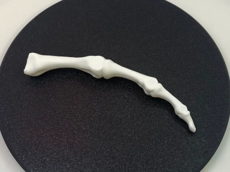 Halloween Skeleton Finger Bones