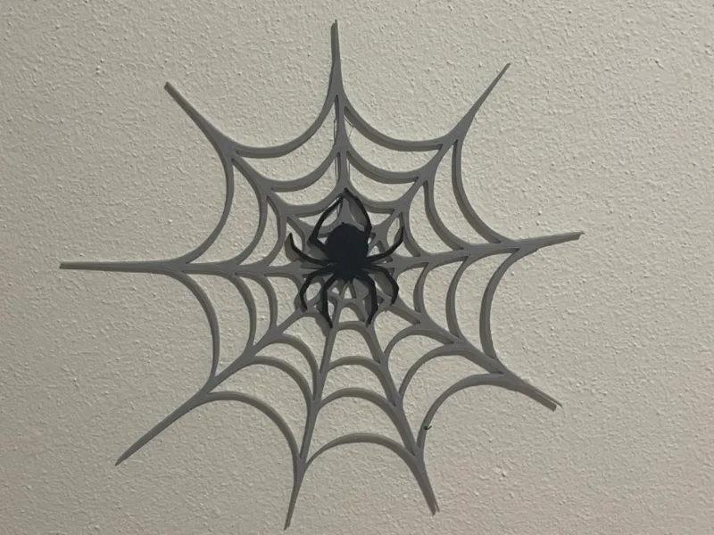 Spider on the web