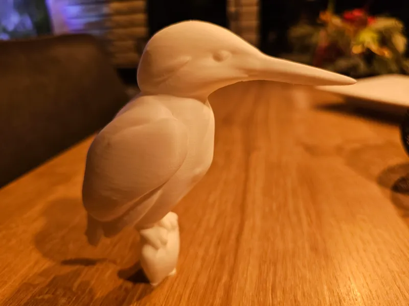 ijsvogel