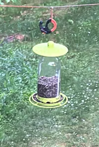 Mangeoire à oiseaux sur bouteille — photo 2