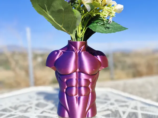 https://makerworld.bblmw.com/makerworld/model/US569034aa693ea2/design/2025-09-04_a801048d833c98.jpg