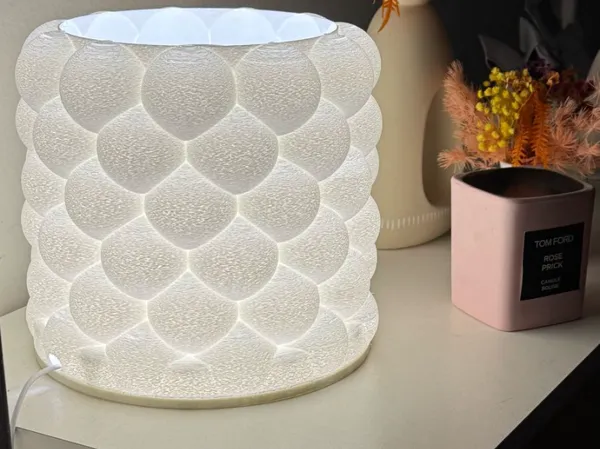 https://makerworld.bblmw.com/makerworld/model/US569240d991360c/design/2025-05-04_f2735e698b24b8.jpeg