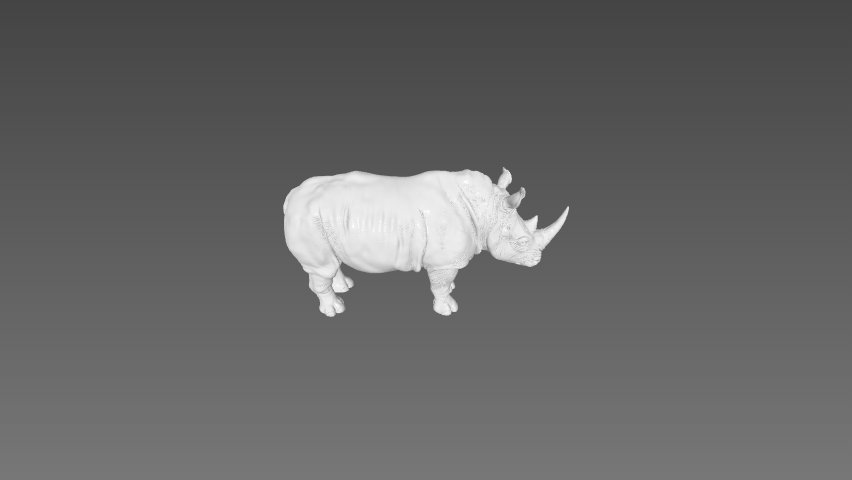 Miniatura 1 do modelo 3D RHINO