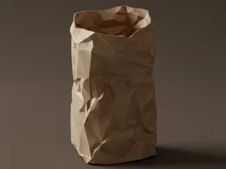Realistic Crumpled Paper Bag /pen holder/Organizer