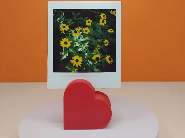 https://makerworld.bblmw.com/makerworld/model/US5696e5394a1f67/design/2025-02-11_e819601a6f95c.jpg