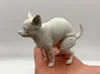 0.2mm layer, 2 walls, 7% infill