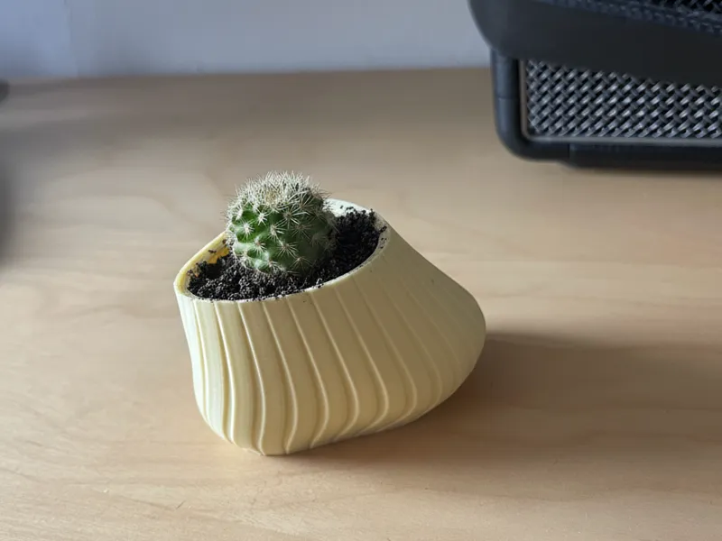 Small Cactus Pot – Moderner Mini-Pflanztopf