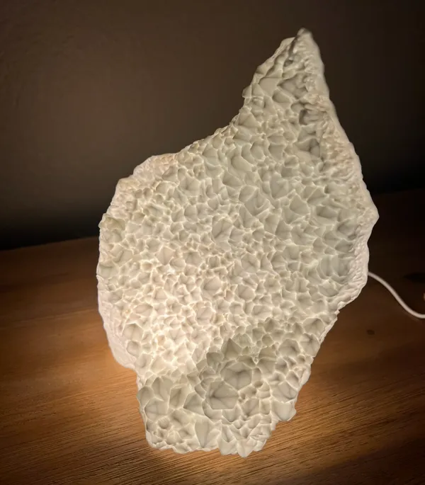 https://makerworld.bblmw.com/makerworld/model/US569d8d8c56eea6/design/2025-01-08_76cbb647b3b26.jpeg
