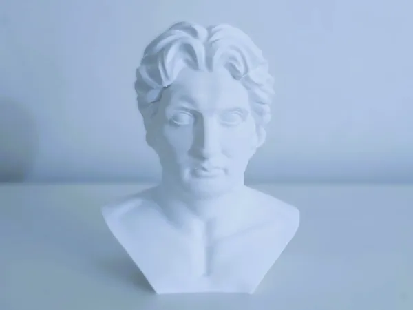 https://makerworld.bblmw.com/makerworld/model/US569d9f0e9c1aee/design/2025-09-15_f6bd80937a921.jpg