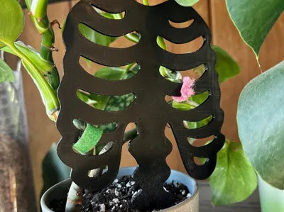 Skeleton Torso Trellis