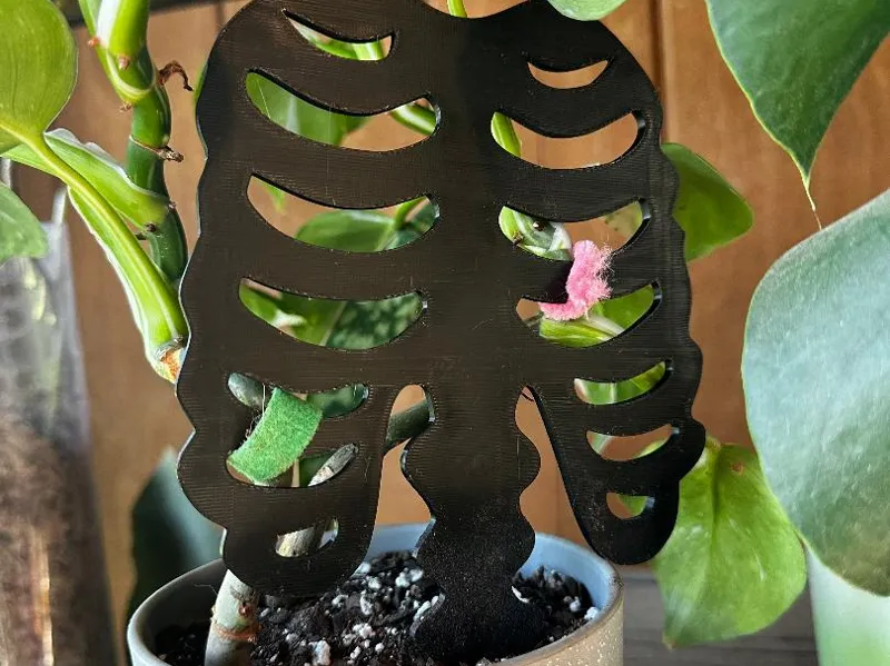 Skeleton Torso Trellis
