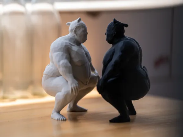 https://makerworld.bblmw.com/makerworld/model/US56a14fa1f2b50c/design/2025-12-03_883f094dbdd4c8.jpg