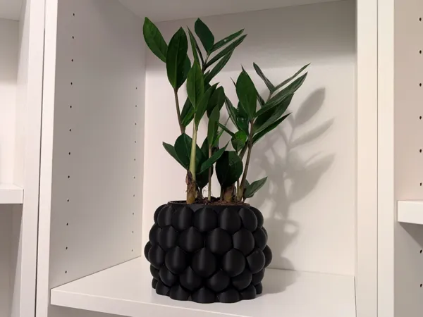 https://makerworld.bblmw.com/makerworld/model/US56a33617aeceab/design/2024-11-26_f4b20fd830f208.jpg