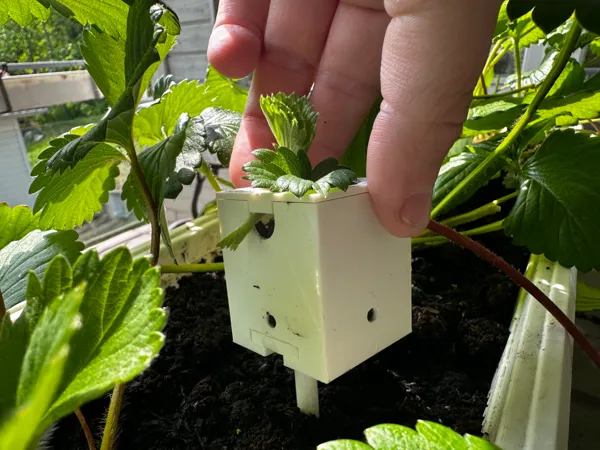 https://makerworld.bblmw.com/makerworld/model/US56a4c37003eaf6/design/2025-06-04_f1d4a06be5711.jpg