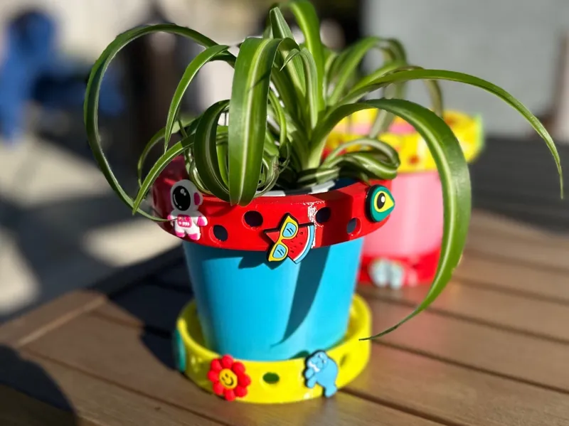 Crocpot, a pot flexible rims for croc charms