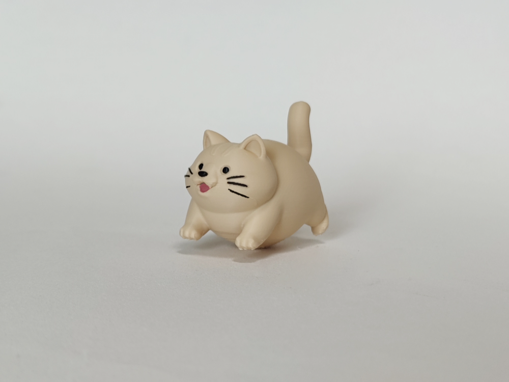 胖猫
