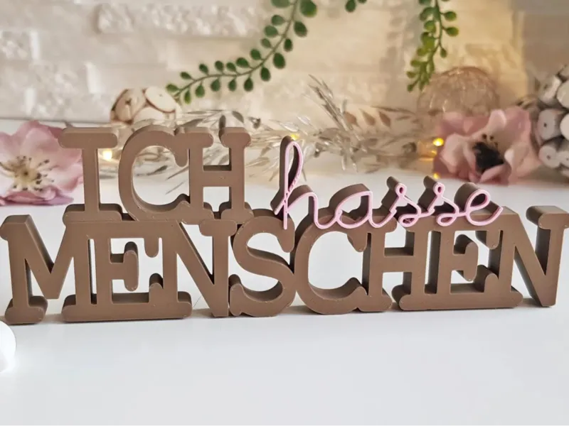 3D Schriftzug Deko - Ich hasse Menschen 