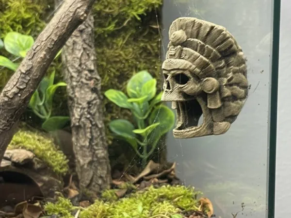 https://makerworld.bblmw.com/makerworld/model/US56af1b1e413d2b/design/7a2d4d71c16767c8.jpg