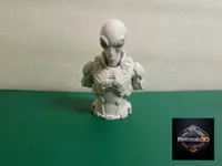 0.16mm layer, 2 walls, 15% infill