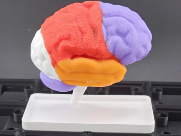 https://makerworld.bblmw.com/makerworld/model/US56b531e664d43d/design/2025-10-25_12af6bd4a88338.jpg
