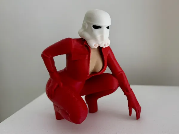 https://makerworld.bblmw.com/makerworld/model/US56b5d702365c69/design/2025-06-06_8ef9b8019c7fd.jpeg