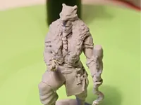 0.08mm layer, 2 walls, 15% infill, brim, supports