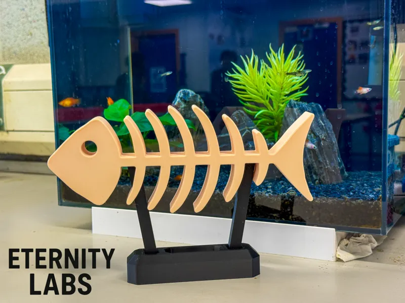 Skeleton Fish Incl. Display Stand