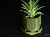 Hex Facet Planter – Monolith (Asanoha Edition)