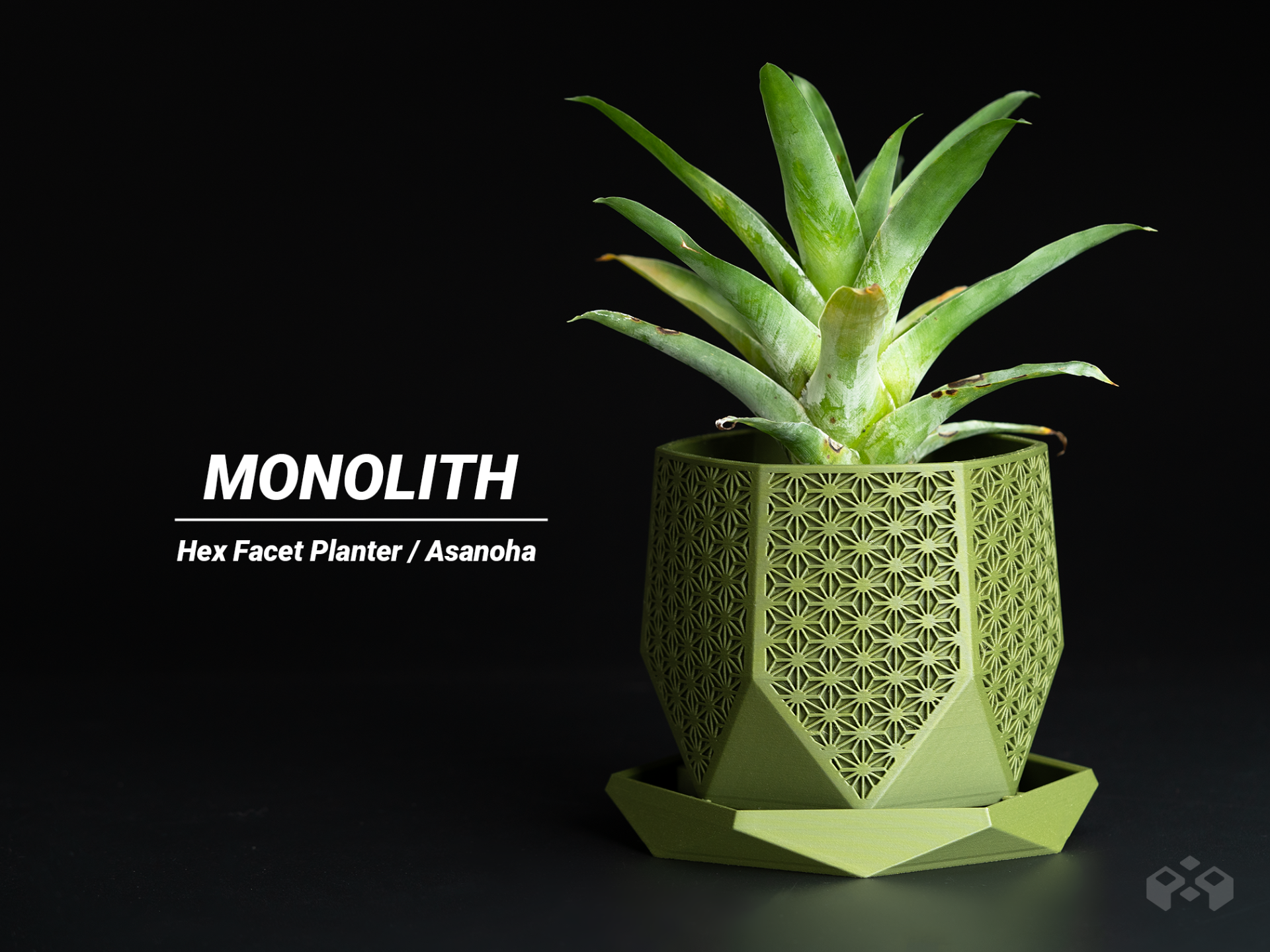 Hex Facet Planter – Monolith (Asanoha Edition)