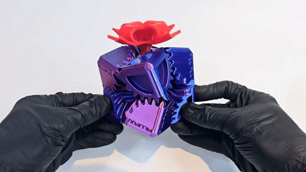https://makerworld.bblmw.com/makerworld/model/US56c80031677e1b/design/2024-11-29_56a6858dccf4c.gif