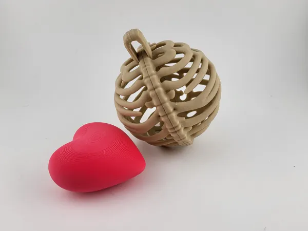 https://makerworld.bblmw.com/makerworld/model/US56ca071439fd17/design/2025-11-10_56cec6420b8308.jpg