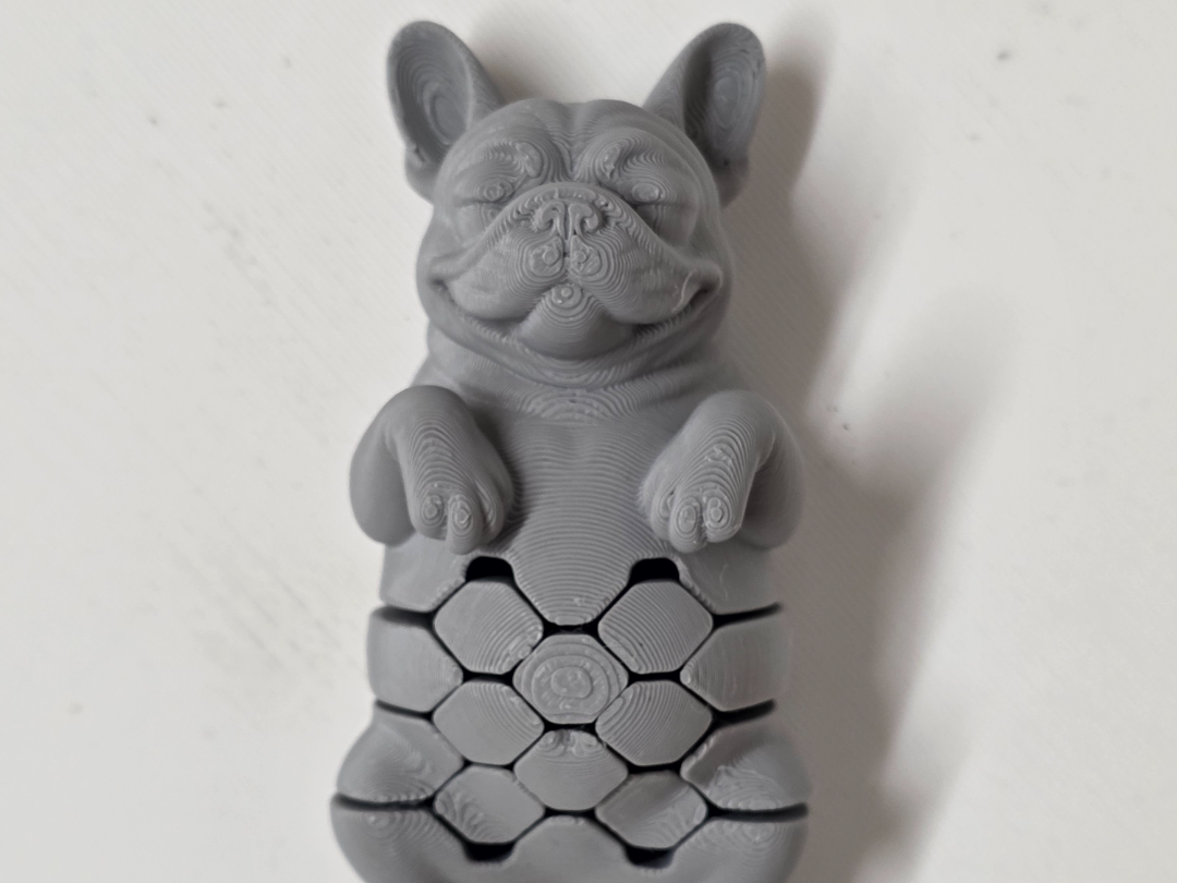 Flexi French Bulldog