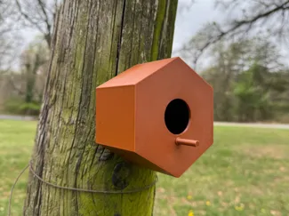 Hive Birdhouse 
