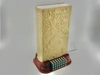 Textured Light Fixture (Hardback Sized)