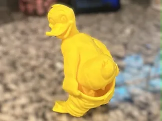 silly duck