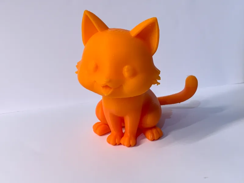 Happy cute Cat
