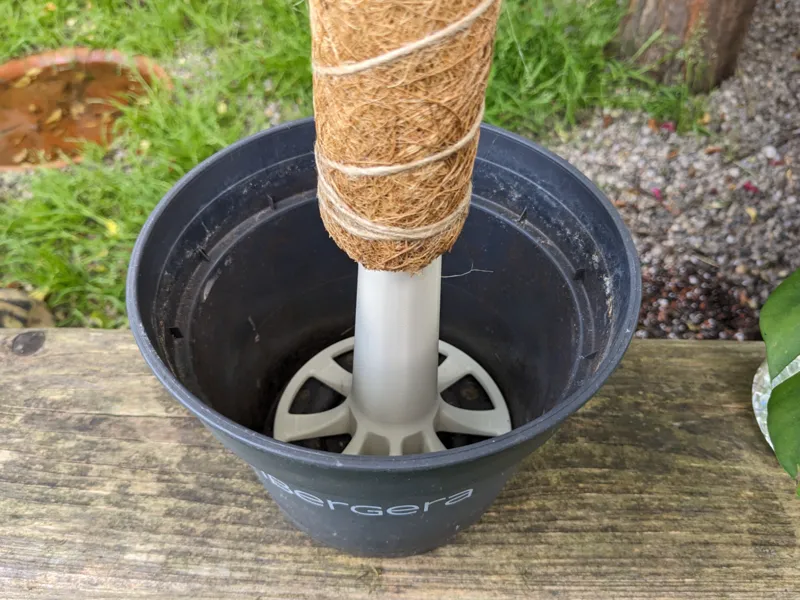 Moss Pole pot support