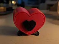 Fuzzy Skine Heart Box