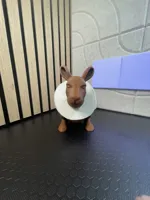 0.2mm layer, tp_holder_kangaroo_onecolor