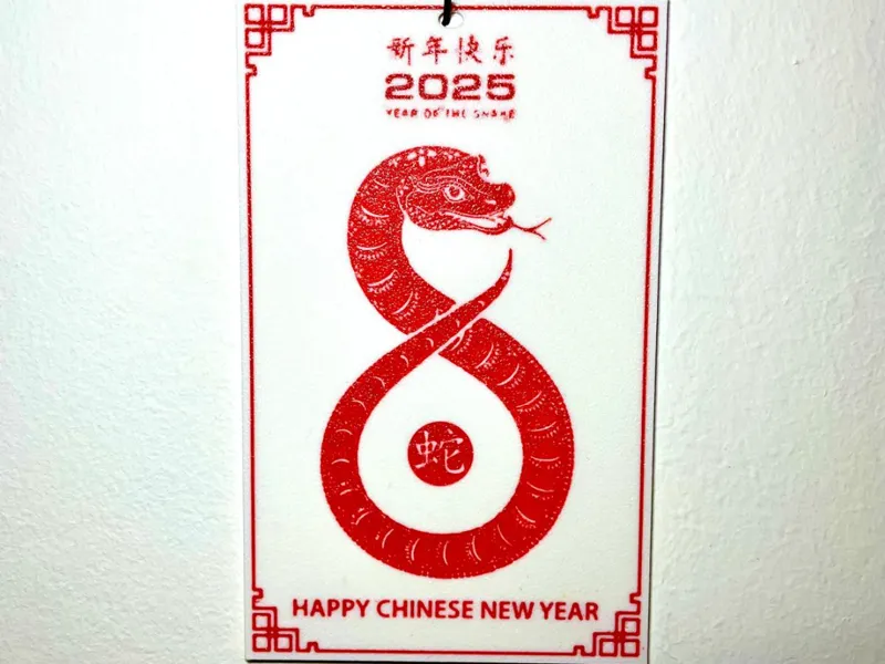 Chinese New Year 2025 picture