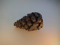 Cache géocaching en forme de pomme de pin — photo 2